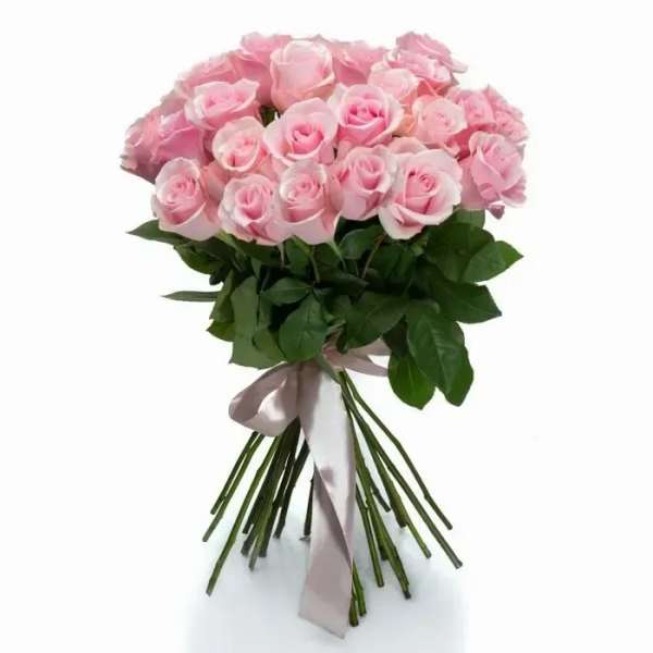 Hand-tied bouquet of light pink roses bound with a pale satin ribbon