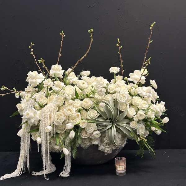 White Elegance