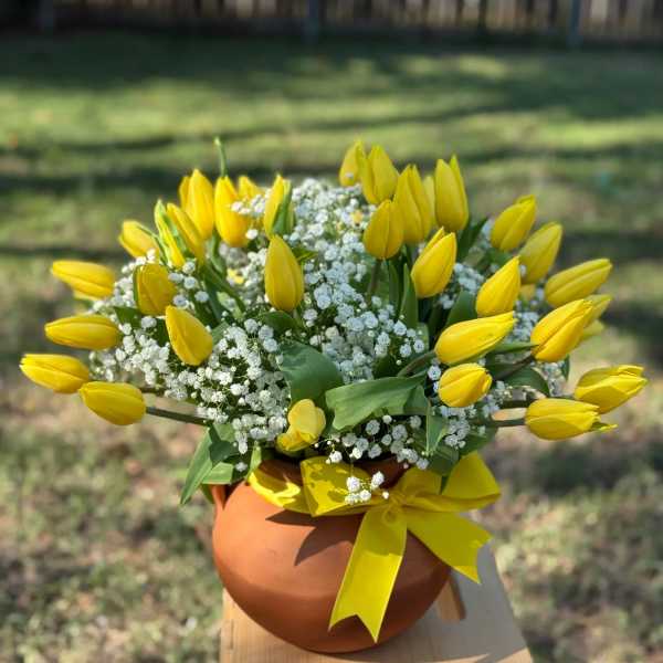 Ollita de tulipanes
