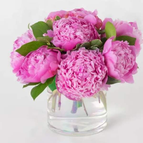 Scented Peonies Arrangement