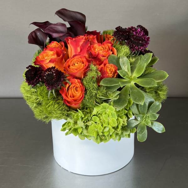 Orange roses and green succulents arranged in a white box