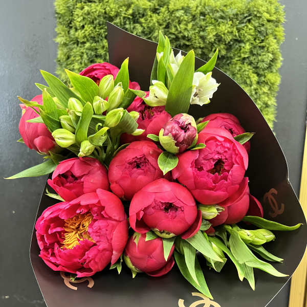 Bouquet of bright pink peonies with green buds and white blooms in black wrap