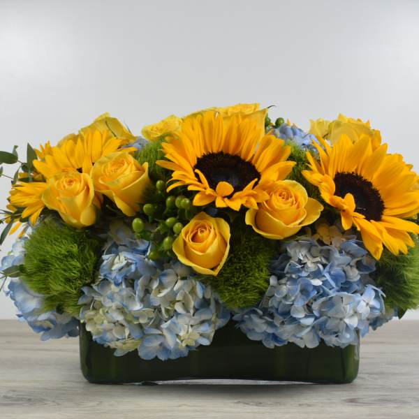 Sunflower elegance