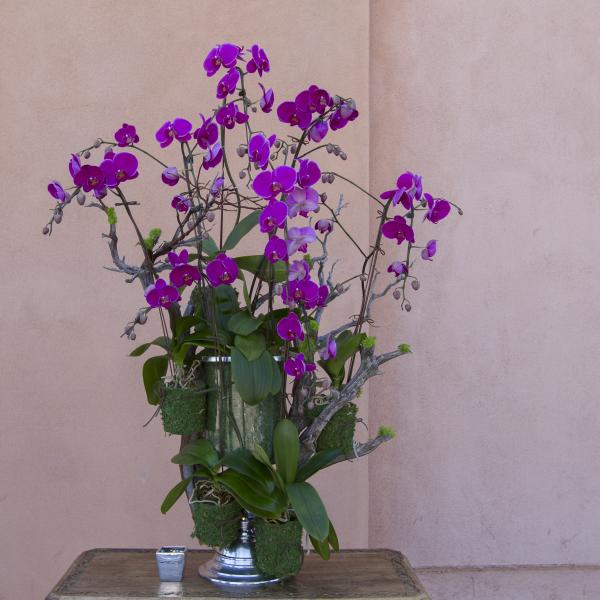 Tall arrangement of purple orchids in a silver vase