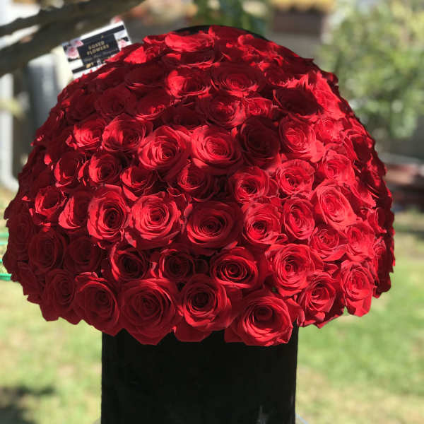 Large dome of red roses in a black hatbox