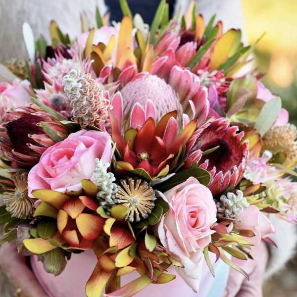 Pink and burgundy bouquet with protea and roses