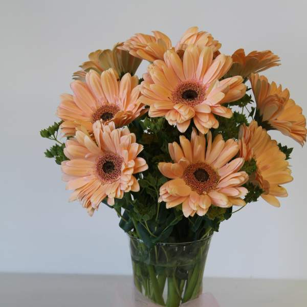 Peach gerbera daisies in a clear glass vase with a pink tulle bow