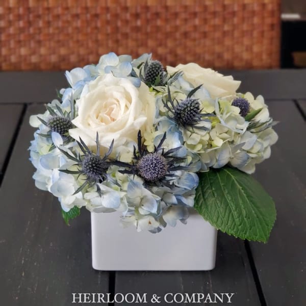 White roses and pale blue hydrangeas in a white square vase