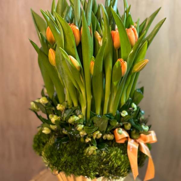 Orange tulips arranged in a gold vase with a ribbon
