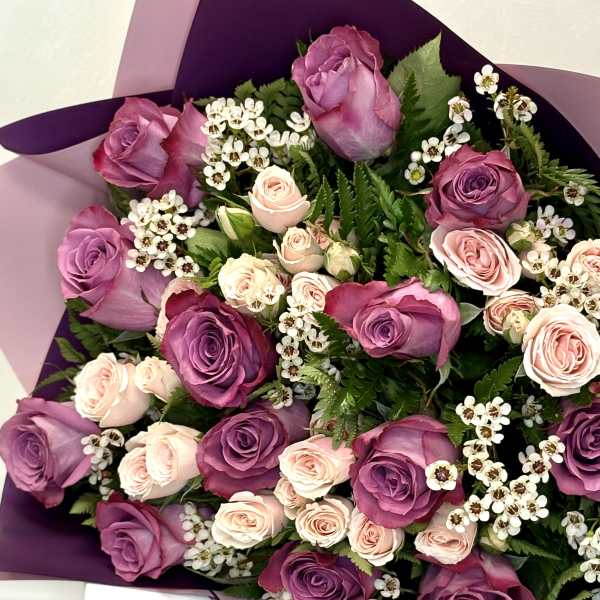 Bouquet of purple and blush roses with small white filler flowers