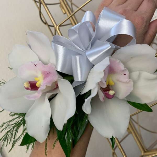 White orchid corsage with a silver ribbon bow