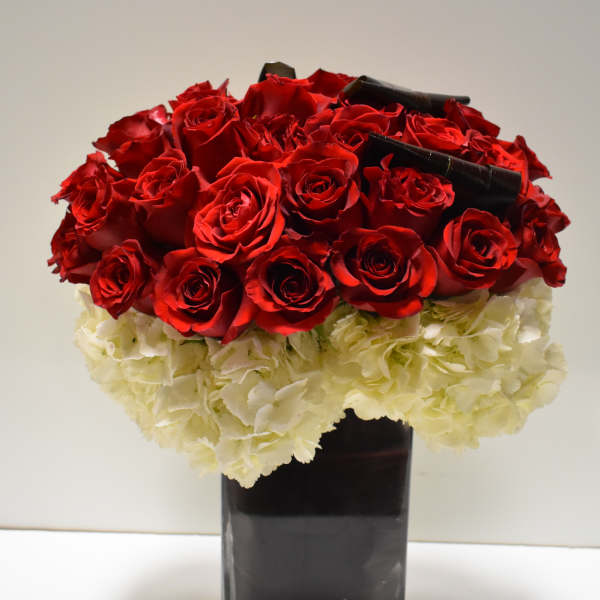 Red passion