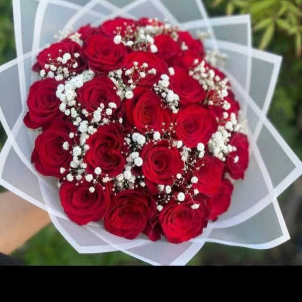 Bouquet of red roses with white baby's breath in white wrap