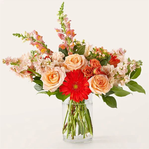 Peach roses and red gerbera daisies in a clear glass vase