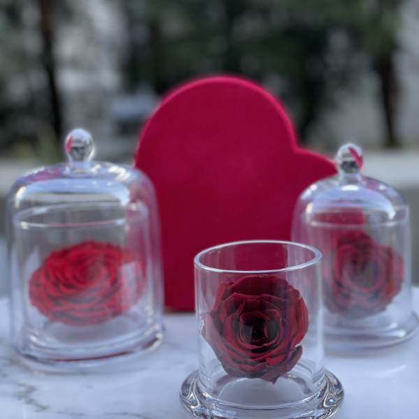 Three red roses displayed under glass domes with a red heart backdrop