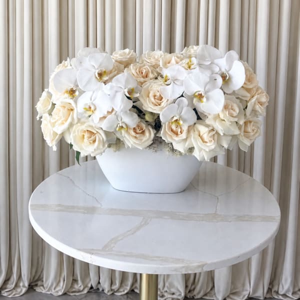 Blooming Orchids
