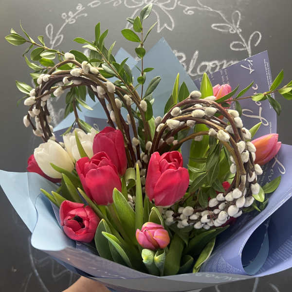 Bouquet of pink and white tulips wrapped in blue paper