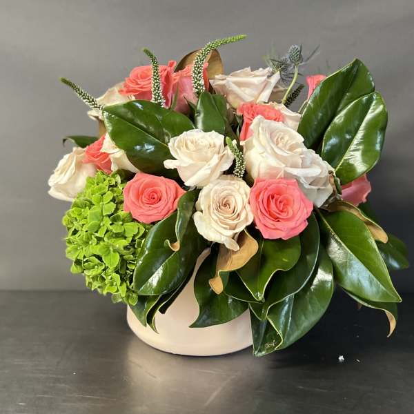 Pink and white roses arranged in a white vase with glossy leaves