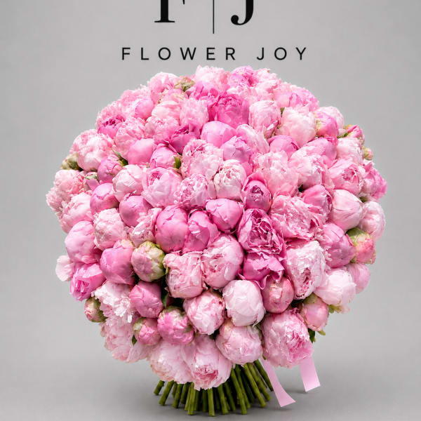 Pink Peony Dream