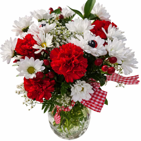 Red carnations and white daisies in a clear glass vase with gingham ribbon