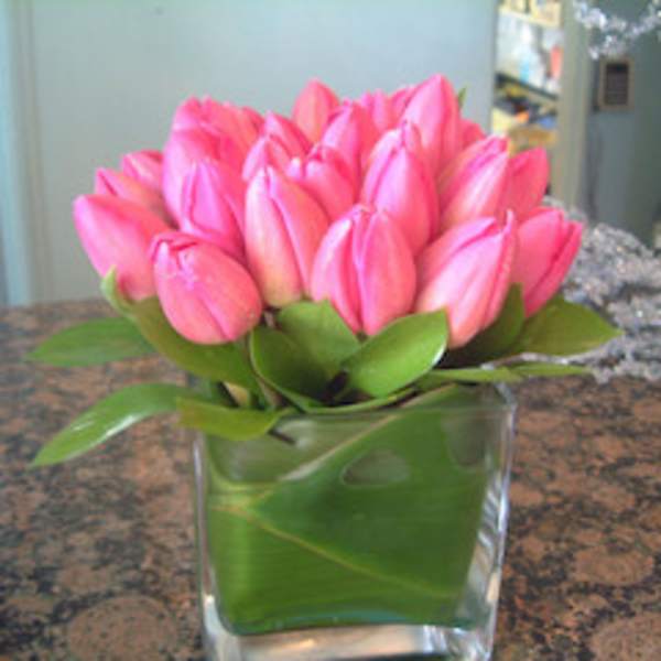 Pink tulips arranged in a clear square vase