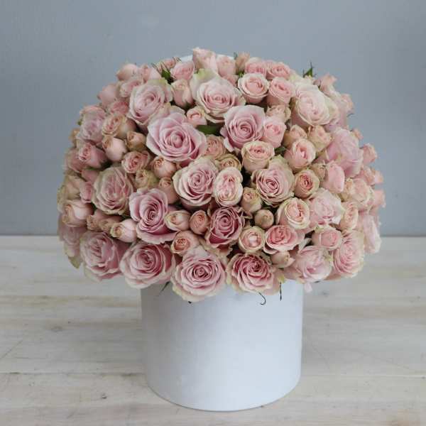 Dome of light pink roses arranged tightly in a white cylindrical box container.
