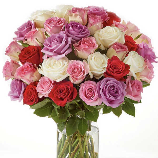 Mix Roses