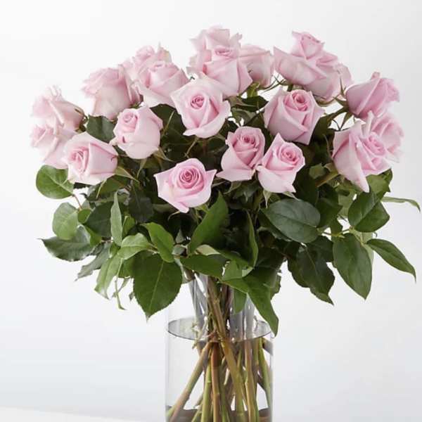 18 pink Roses