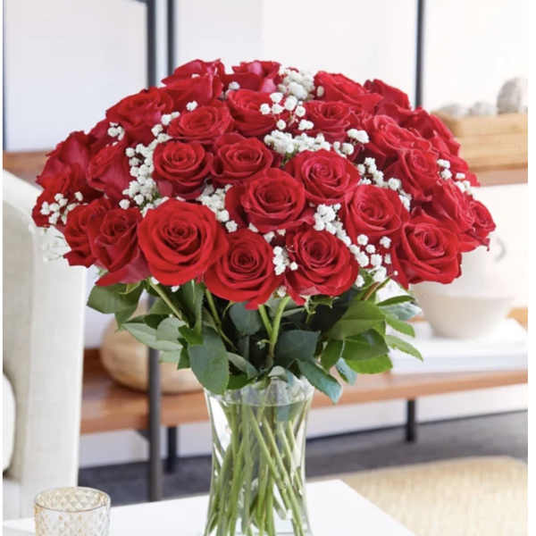 24 Red Roses/babybreath