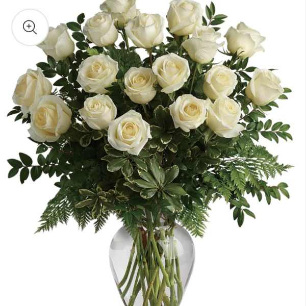 18 white Roses