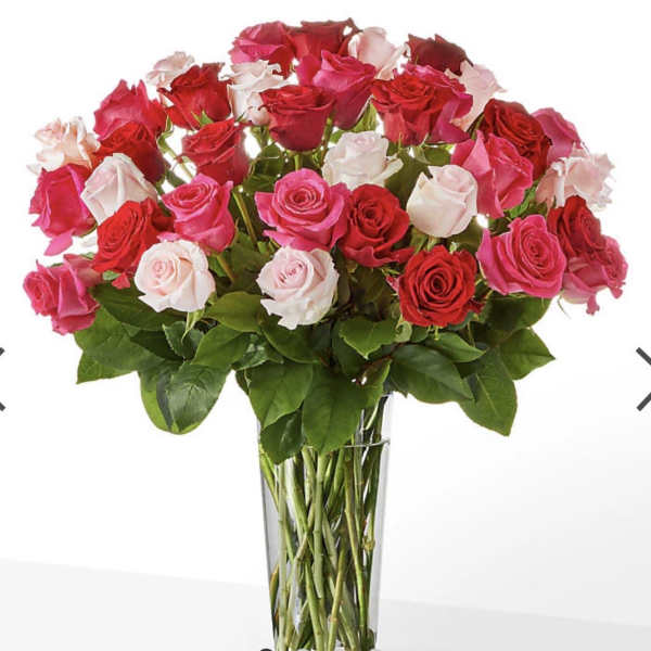 Beautiful Roses