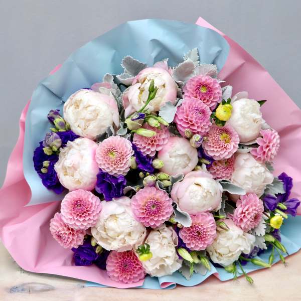 Round bouquet of blush peonies and pink dahlias with purple blooms in pink and blue wrapping paper