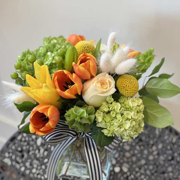 Gentle Blooms