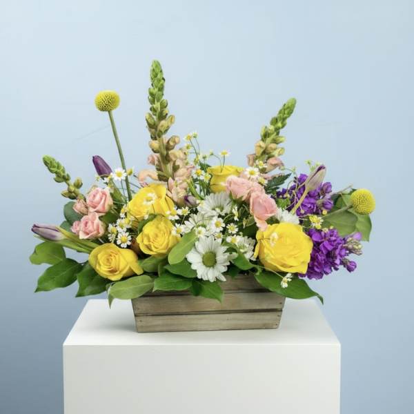 Country Garden Blooms