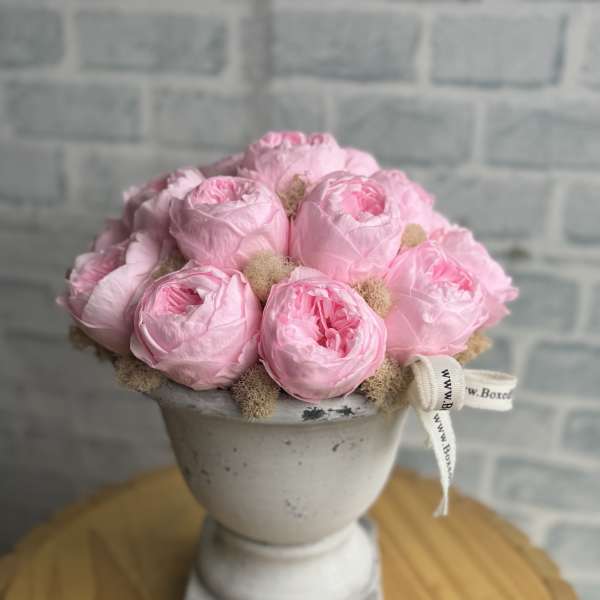 Pink roses arranged in a white pedestal vase with a ribbon bow