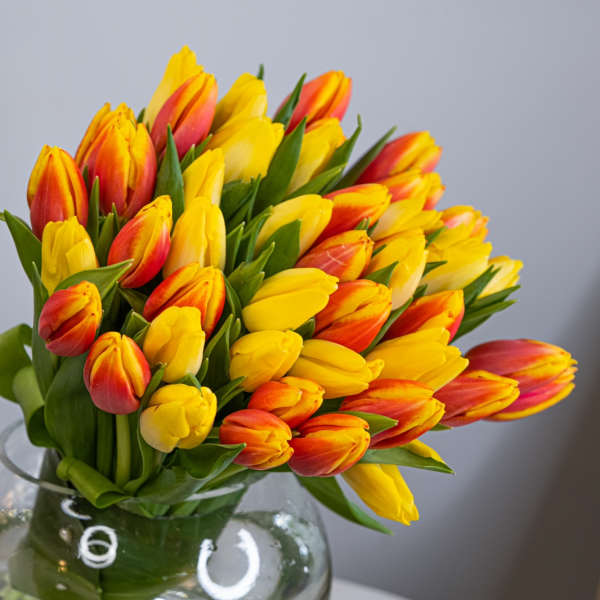 Bouquet of yellow and orange tulips in a clear glass vase