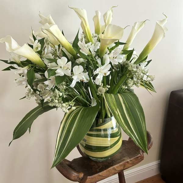 Calli Lily Mix