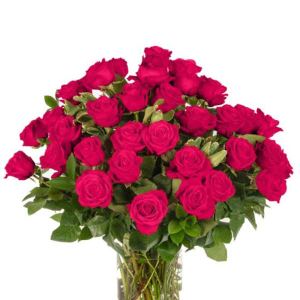 Three Dozen Hot Pink Roses