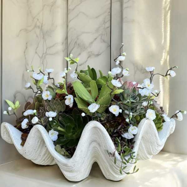 Succulent arrangement in a white wavy planter with small white blossoms