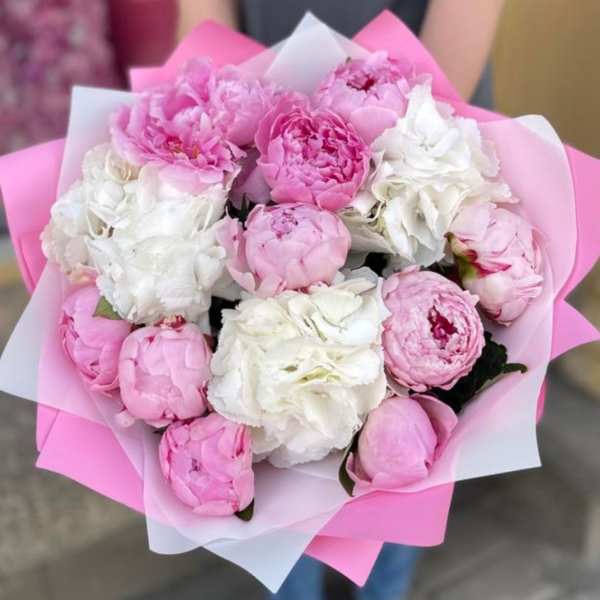 Bouquet of pink and white peonies wrapped in pink paper