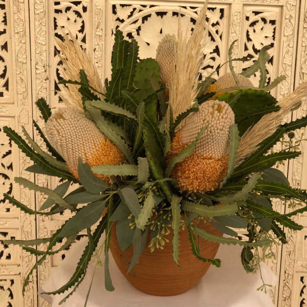 Arrangement of cream and orange protea in a terracotta pot