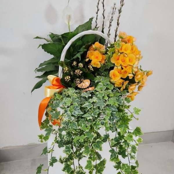 Tall mixed plant basket with trailing ivy, orange flowers, and a white bloom in a white container