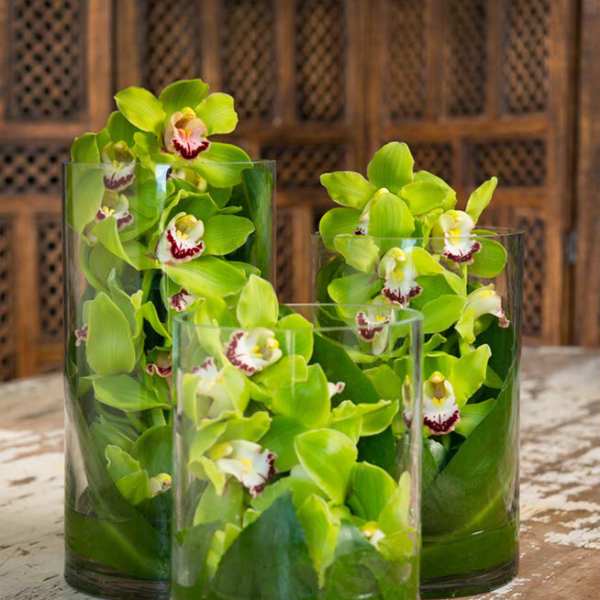 Three glass vases filled with bright green orchids