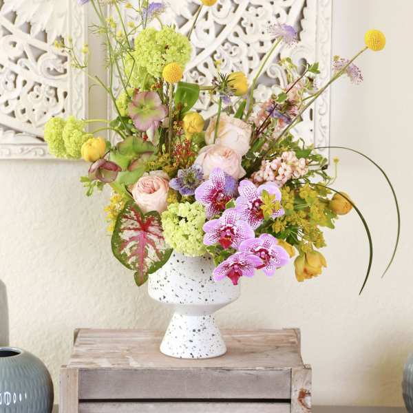 Garden Love Melody