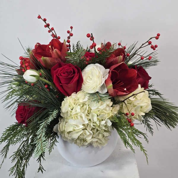 Red roses and white hydrangeas in a white vase with pine and berry accents