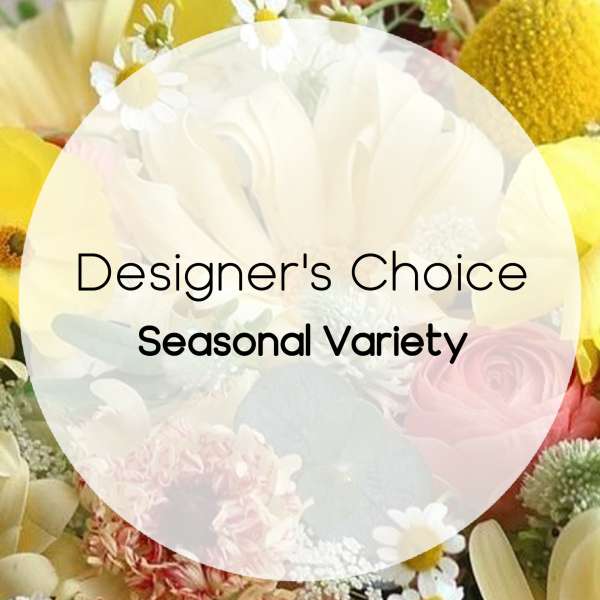 Designer's Choice Seasonal Variety