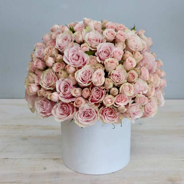 Dome of light pink roses arranged tightly in a round white hatbox-style container