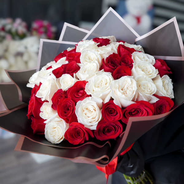 Bouquet of red and white roses wrapped in dark paper