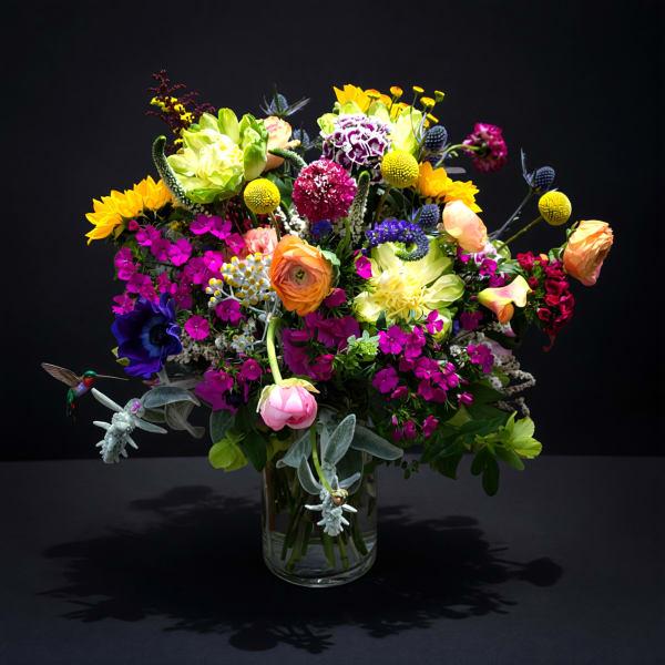 Ladybird