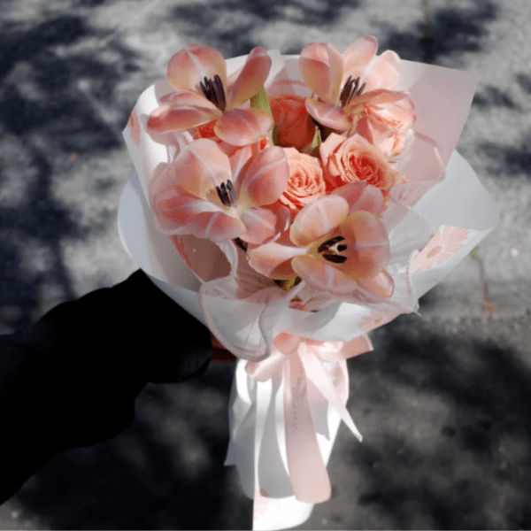 Peach Cloud Kiss